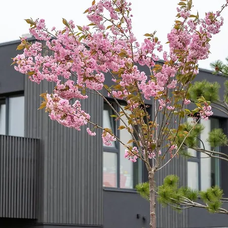 Appartement Mano Jura 3