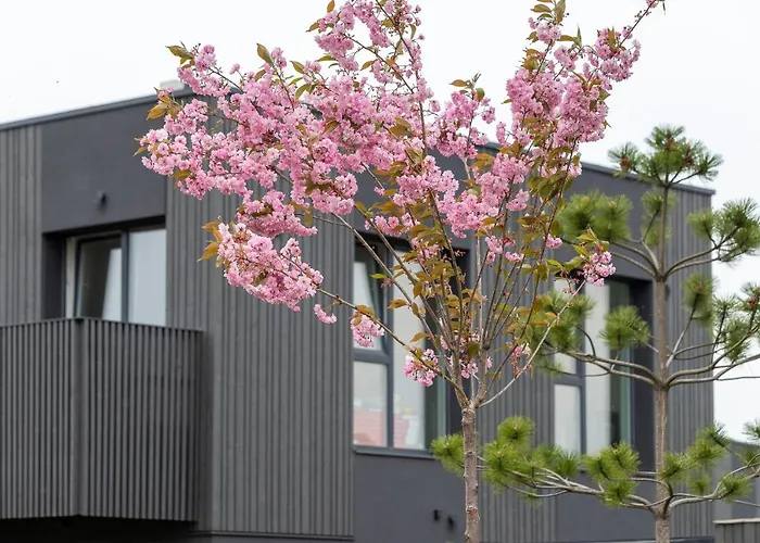 Apartament Mano Jura 3